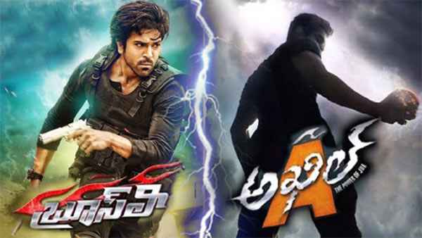 high budjet movies,loss,bruce lee,aagadu,distributors,producers,tollywood movies,akhil movies  భారీ బడ్జెట్‌ చిత్రాల నష్టాలకు కారణం ఎవరు? 